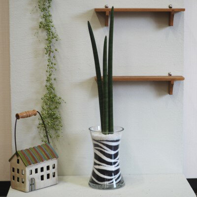 【ふるさと納税】スタッキーのカラーサンド（大）黒　 植物 インテリア 飾り 緑 グリーン 部屋 玄関 グリーンインテリア アート感覚 寄せ植え ガラス花器