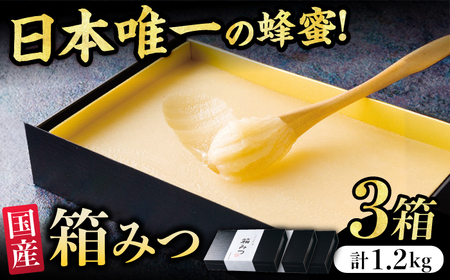 【先行受付 令和6年12月より発送】箱みつ 3個セット 合計1200g (400g×3個)　広川町 / 株式会社九州蜂の子本舗[AFAI017]