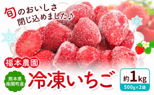 冷凍いちご ゆうべに 1kg 福本農園《60日以内出荷予定(土日祝除く)》熊本県 南関町 苺 イチゴ 冷凍 果物 フルーツ 国産 熊本 南関 デザート スムージー かき氷 ヨーグルト 朝採り 旬 小分け 500g 加工用 おやつ 保存