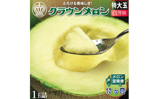 ＜毎月定期便＞クラウンメロン 白等級 特大 1玉 静岡県産 高級マスクメロン＜1年中お届け＞全12回【4012659】