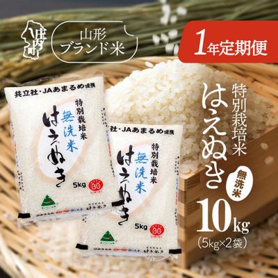 ふるさと納税 庄内町 &lt;11月開始&gt;庄内米1年定期便!特別栽培米はえぬき無洗米 10kg(入金期限:2025.10.25)