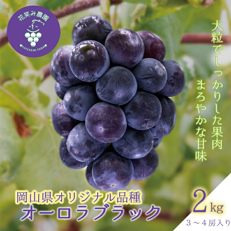【ふるさと納税】 岡山　花笑み農園のブドウ 『オーロラブラック』約2kg(3~4房)A-2 hana39【2025年9月上旬～順次発送】【配送不可地域：離島】 真庭 国産 産地直送 フルーツ 葡萄 ぶどう 果物 贈答 ギフト 大粒 食べやすい 種なし 甘い 先行予約 おすすめ 人気 【1394012】