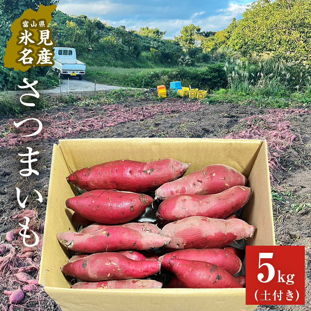 【ふるさと納税】 ＜先行予約＞ 富山県産 さつまいも 5kg ＜2025年12月以降順次発送＞ 富山県 氷見市 サツマイモ 自然豊か しっとり ねっとり