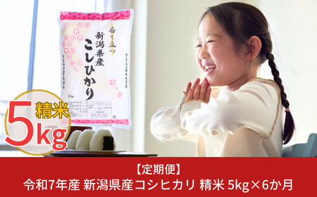 [コシヒカリ 定期便5kg×6か月] 令和7年産 新潟県産コシヒカリ 計30kg [株式会社白熊]