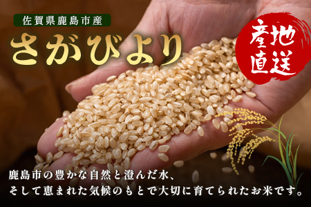 先行受付 ＼生産者直送／ さがびより 玄米5kg 佐賀県産さがびより 佐賀県鹿島市 C-152 玄米5kg