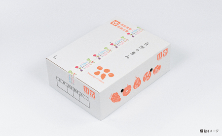 ＜ 先行予約 ＞ りんご 葉取らず ふじ 丸秀品 約 3kg 8～12玉 【2026年11月下旬から12月下旬発送】 山形県 朝日町産 山形県産 果物 フルーツ リンゴ 林檎 秋 冬