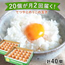 【ふるさと納税】卵 《20個 × 月2回 1ヶ月コース》 卵 てつやとのりこの玉子 全2回定期便 糸島市 / 板垣ファーム [AWD011] 14000円 常温