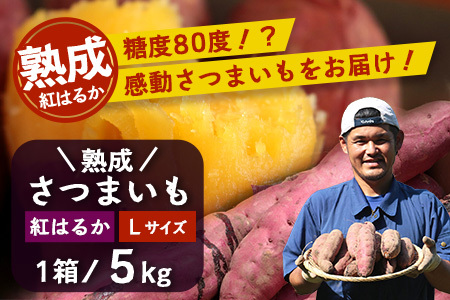 【先行予約】鹿児島県産さつまいも・熟成紅はるか5kg(1箱)Lサイズ｜ さつまいも べにはるか先行予約 野菜 やさい 食品 人気 おすすめ 送料無料 南大隅町（AX72216）