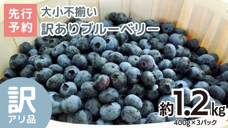 
                  【訳あり】大小不揃い 冷凍ブルーベリー 1.2kg 【2026年8月上旬頃より発送開始】 甘い 甘酸っぱい 冷凍フルーツ 果物 くだもの おやつ お取り寄せ お土産 贈り物 贈答 ギフト 国産 茨城 農園
                