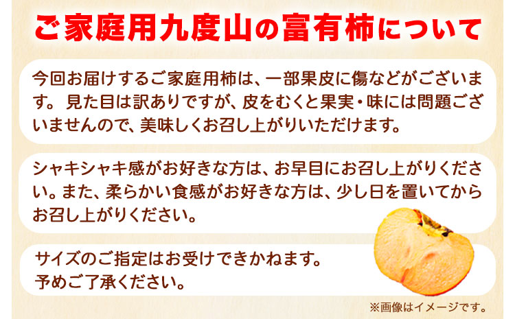 先行予約〈ご家庭用〉柿の名産地 九度山の 富有柿 約7.5kg 厳選館 《2025年11月上旬-12月下旬頃出荷》 和歌山県 日高川町 柿 カキ かき ジューシー フルーツ(F)