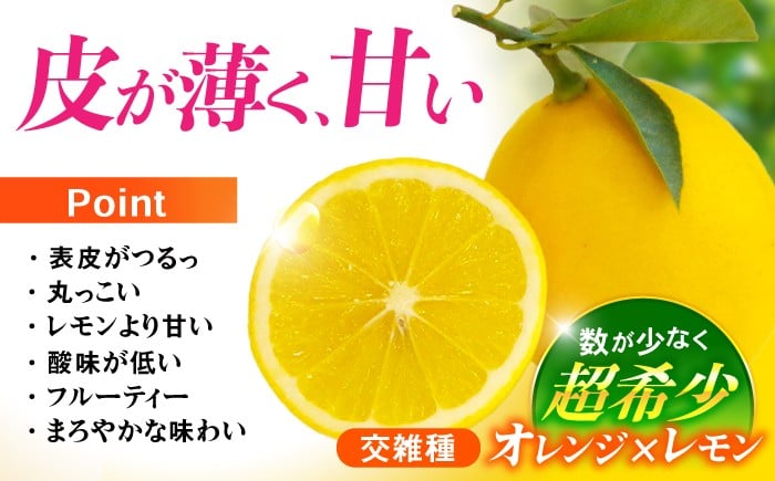 レモン れもん 檸檬 果汁 柑橘 フルーツ ふるーつ 果物 くだもの レモンサワー レモンケーキ レモンティー レモネード