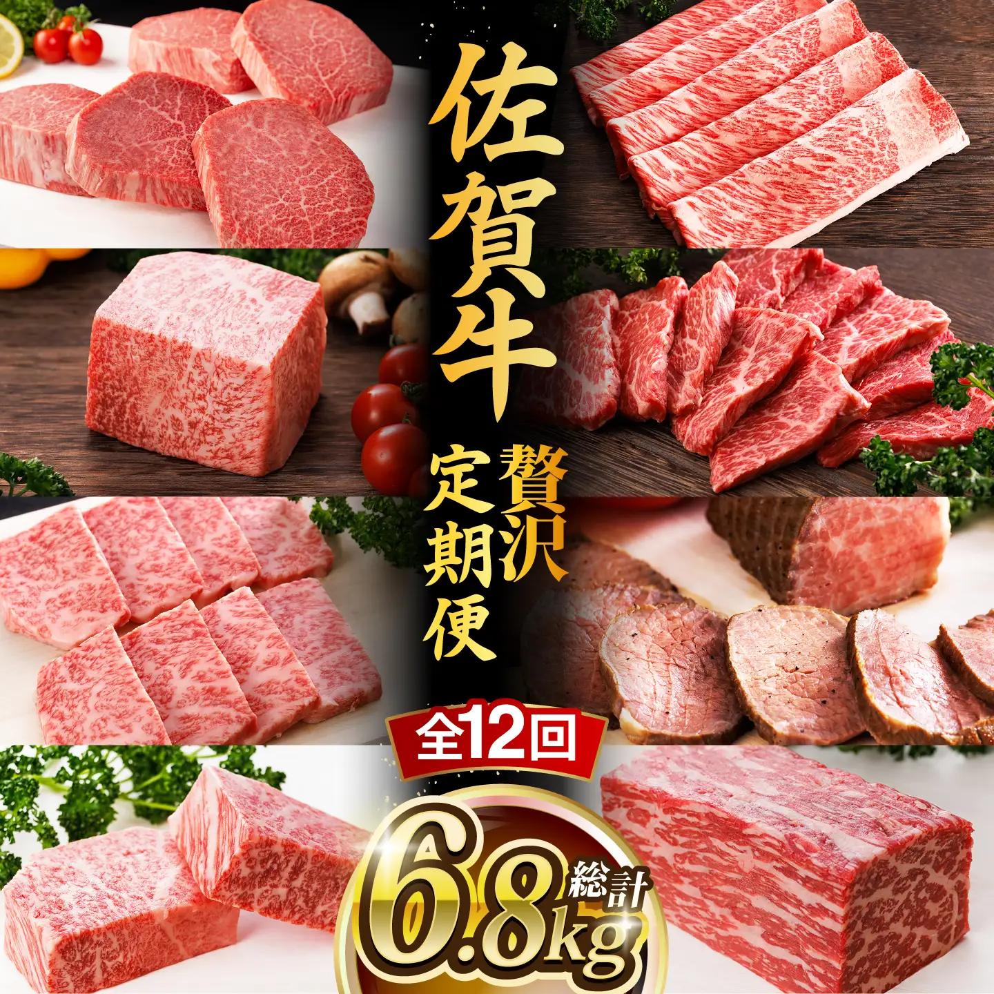 【全12回】 佐賀牛 贅沢定期便 約2-3人前 牛肉定期便 [UCC004]