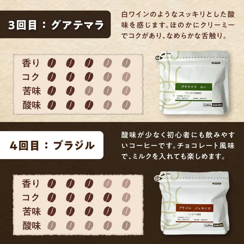 【全6回定期便】世界のコーヒー豆 満足便(豆) / 珈琲 コーヒー / Coffee SAKURA[BBAB152]