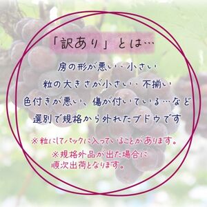 岡山　花笑み農園のブドウ『訳ありBKシードレス』1kg　WB-1【9月中旬～順次発送】【配送不可地域：離島】【1628322】