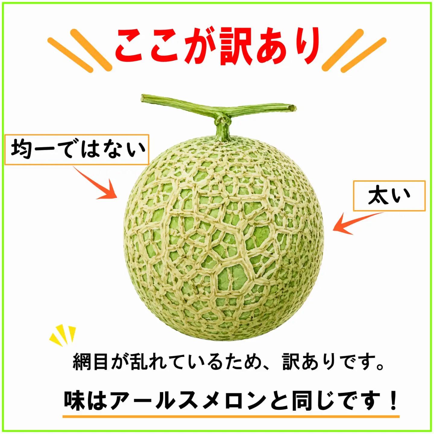 【訳あり】 アールスメロン 2玉 不揃い メロン 家庭用 完熟 果物 フルーツ