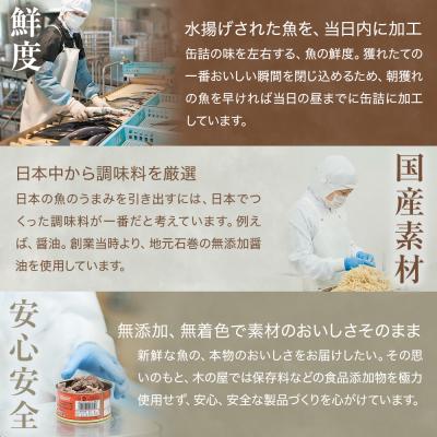 ふるさと納税 石巻市 イワシ 缶詰 いわし缶詰 木の屋 食べ比べ セット (水煮・醤油) 8缶 石巻 常温 缶つま 非常食 |  | 02