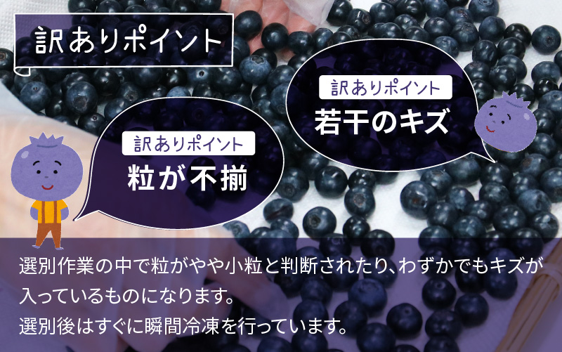 【先行予約】【7月中旬以降順次発送】【訳あり】令和8年産〈冷凍〉手摘み有機ブルーベリー1kg（500g × 2パック） 1kg（500g × 2パック）