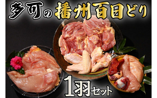 
多可の播州百日どり1羽セット[009] 鶏肉 もも肉 むね肉 ささみ 手羽先 手羽元 肝 砂肝 １羽分 播州百日どり 冷蔵
