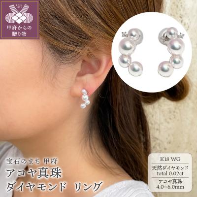 ふるさと納税 甲府市 K18WG　アコヤ真珠　ダイヤモンド　ピアス(#109:03052919)