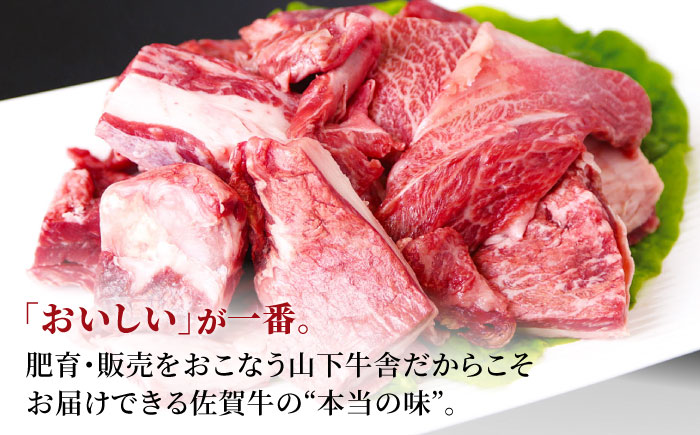 【全3回定期便】佐賀牛 牛すじ 600g（300g×2パック）【山下牛舎】 [HAD131]
