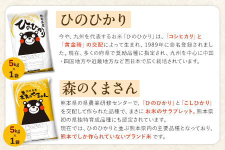 米 無洗米 令和6年産 新米 特A受賞品種 ひのひかり 森のくまさん 米 送料無料10kg 食べ比べ ヒノヒカリ 選べる 厳選 熊本県産(長洲町産含む) 米 お米 森くま 《11月-12月より出荷予定