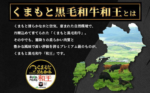 《R7.5・6・7・8・9月発送 限定 増量 》 【極 和王】 くまもと黒毛和牛 和王 サーロインステーキ 330g×2 + 黒毛和牛ミンチ300g (計960g) ブランド牛 最高級グレード 極み 