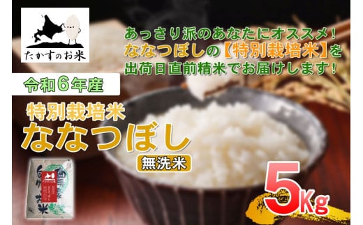 【 令和7年産 】 ななつぼし （ 無洗米 ） 北海道 米 定番の品種 5kg 北海道 鷹栖町 たかすのお米 コメ こめ ご飯
