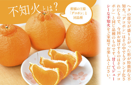 不知火 デコポン 同品種 約3kg 日本フルーツ株式会社 熊本県 荒尾市 《1月下旬-2月末頃出荷予定》 デコポン 果物 秀品 フルーツ スイーツ デザート ギフト ご贈答