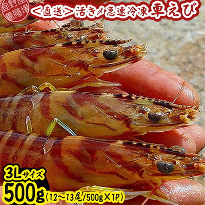 【ふるさと納税】【養殖場から直送】活き〆急速冷凍車えび　3Lサイズ　約500g（12～13尾/500g×1P） 車海老 海鮮 魚介類 海産物 シーフード お取り寄せ 美味 料理 クルマエビ くるまえび 塩焼き フライ 天丼 お刺身 フリット 蝦 ゆで 送料無料 沖縄県産 送料無料