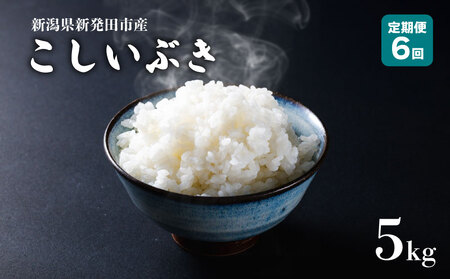 【定期便】 令和7年産 新潟県産 こしいぶき 5㎏×6か月 【 新潟県 新潟産 新潟米 新発田産 新発田 お米 米 こしいぶき とんとん市場 せいだ 5kg 30kg 6か月 半年 定期便 数量限定 玄米 D56_04 】　