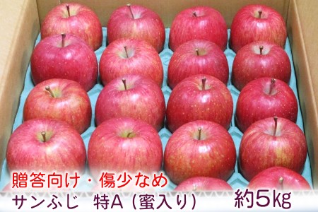 [贈答向け・傷少なめ] サンふじ りんご 特A(蜜入り) 約5kg(20玉)｜青森産 つがる 津軽 リンゴ 林檎 果物 フルーツ サンフジ 2024年 令和6年 [0720]