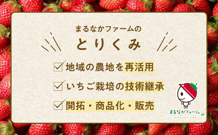 クラフトビール Koichigo Beer 330ml×4本セット | クラフトビール 地ビール【まるなかファーム株式会社】