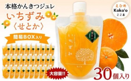 本格かんきつジュレ「いちずみ」(せとか) 30個セット | ゼリーゼリーゼリーゼリーゼリー【KK1071】