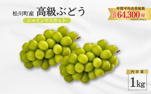 
                  ぶどう シャインマスカット 贈答用 or 家庭用 ／ 2026年9月中旬～10月頃 配送予定 // 贈答 長野県 南信州 シャインマスカット マスカット 種なし 皮ごと ぶどう 葡萄 果物 フルーツ TK09 TK06 TK19
                