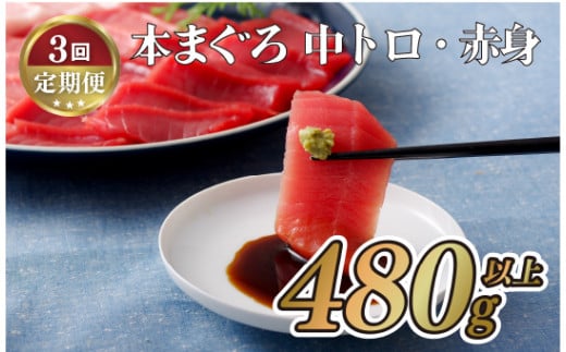 A132p 【全3回定期便 総計1.44kg】長崎県産 本マグロ (中トロ・赤身)  計480g以上 海鮮丼のタレ付き【本家永松家】マグロ まぐろ 鮪 中トロ 中とろ 赤身 刺身 海鮮丼 定期便 頒布会