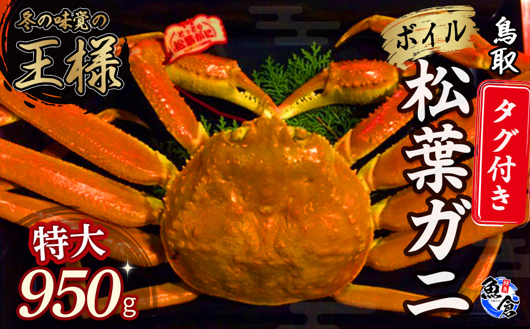 
            【魚倉】タグ付きボイル松葉ガニ（特大９５０ｇ）冷蔵 カニ ボイル 松葉ガニ タグ付き 新鮮 ボイル ズワイガニ ずわいがに 鮮度抜群 高級 特大 国産 鳥取県 倉吉市
          