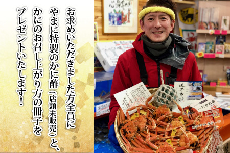 【先行予約】名人が茹でる とれたて指折れ訳あり越前がに(中) 1杯 やまに仕込み【2月発送分】 [E-4353_02]