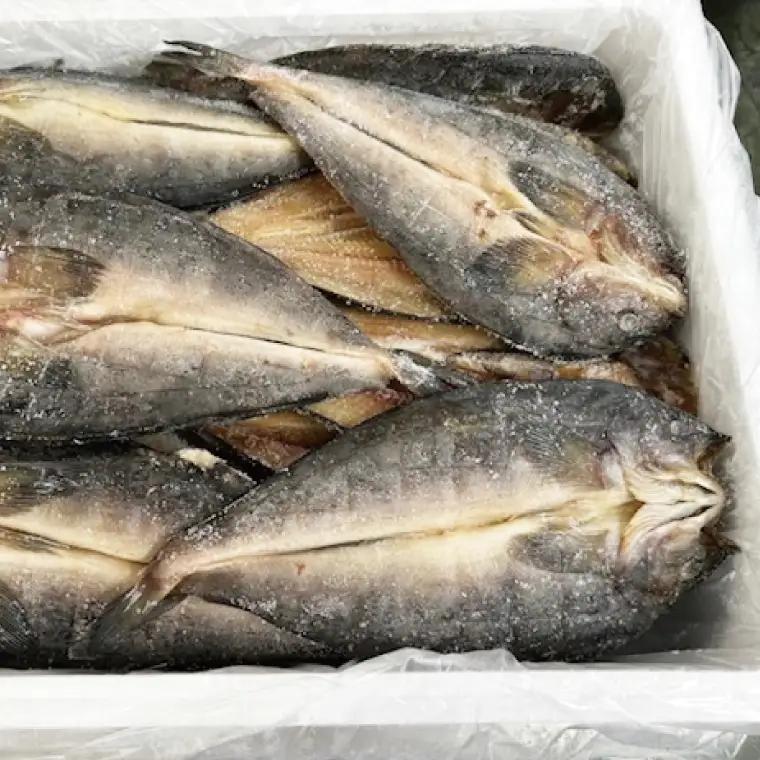 真ほっけ開き 35枚入 干物 ほっけ _AL039