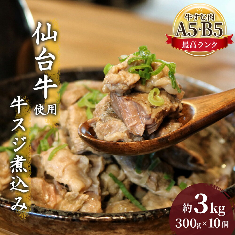 【ふるさと納税】牛すじ煮込み 3kg (300g×10個) セット 詰め合わせ 仙台牛 国産 牛 国産牛 国産牛肉 牛肉 肉 お肉 牛すじ 牛筋 煮込み 惣菜 化学合成添加物不使用 保存料不使用 湯煎 湯せん ボイル 牛すじ肉 すじ肉 ご飯のお供 ごはんのお供 宮城 宮城県 岩沼市