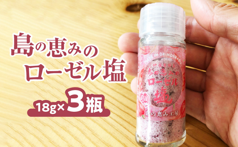 
            島の恵みのローゼル塩 （ビンタイプ）×3瓶　W011-109u-02
          