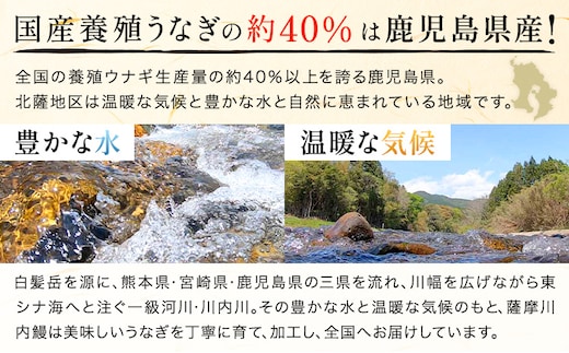 【父の日】＼特大サイズ／ 鹿児島県産 鰻蒲焼真空セット！3尾  タレ・山椒付！ 株式会社薩摩川内鰻 《6月中旬-6月下旬頃出荷》  鹿児島県 さつま町 送料無料 ウナギ 丑の日 うなぎ 刻み グルメ 