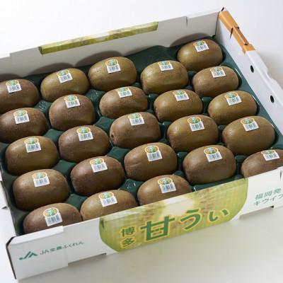ふるさと納税 大任町 【先行受付】福岡産ブランドキウイ・甘うぃ24-33玉箱(約3kg)(大任町) |  | 01
