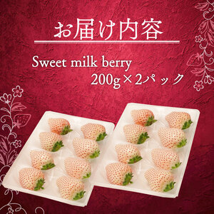 【期間限定】白いちご 400g 高級 | 白いちご