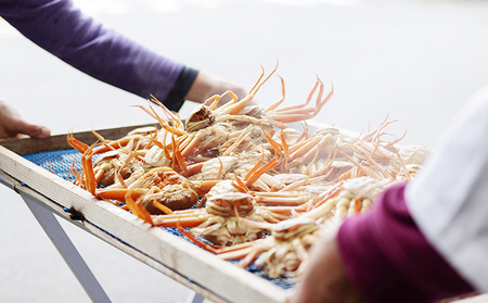 新物　コッペがにほぐし身（中サイズ）　3個セット