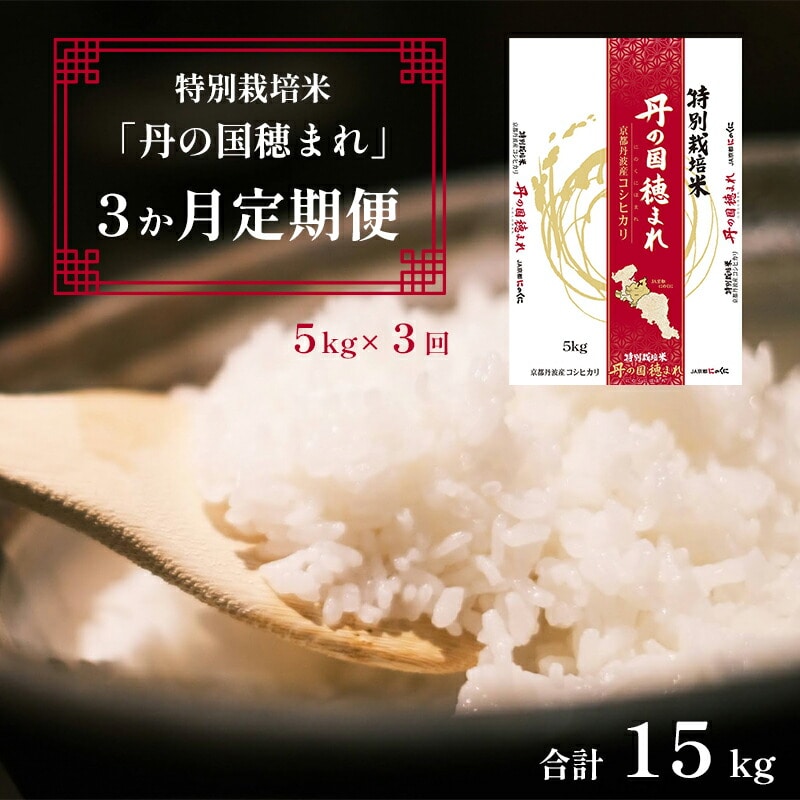 【定期便】特別栽培米 コシヒカリ 丹の国穂まれ 精米 5kg×3回 令和6年度産 新米 15kg 3か月定期便 白米 ご飯 ごはん 白ご飯 京都 舞鶴 中丹 農協 JA 直送