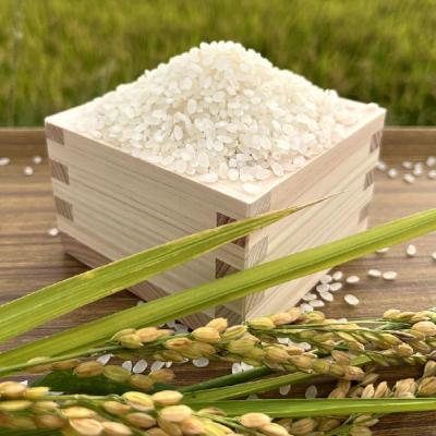 ふるさと納税 南あわじ市 淡路島産きぬむすめ　白米30kg |  | 02