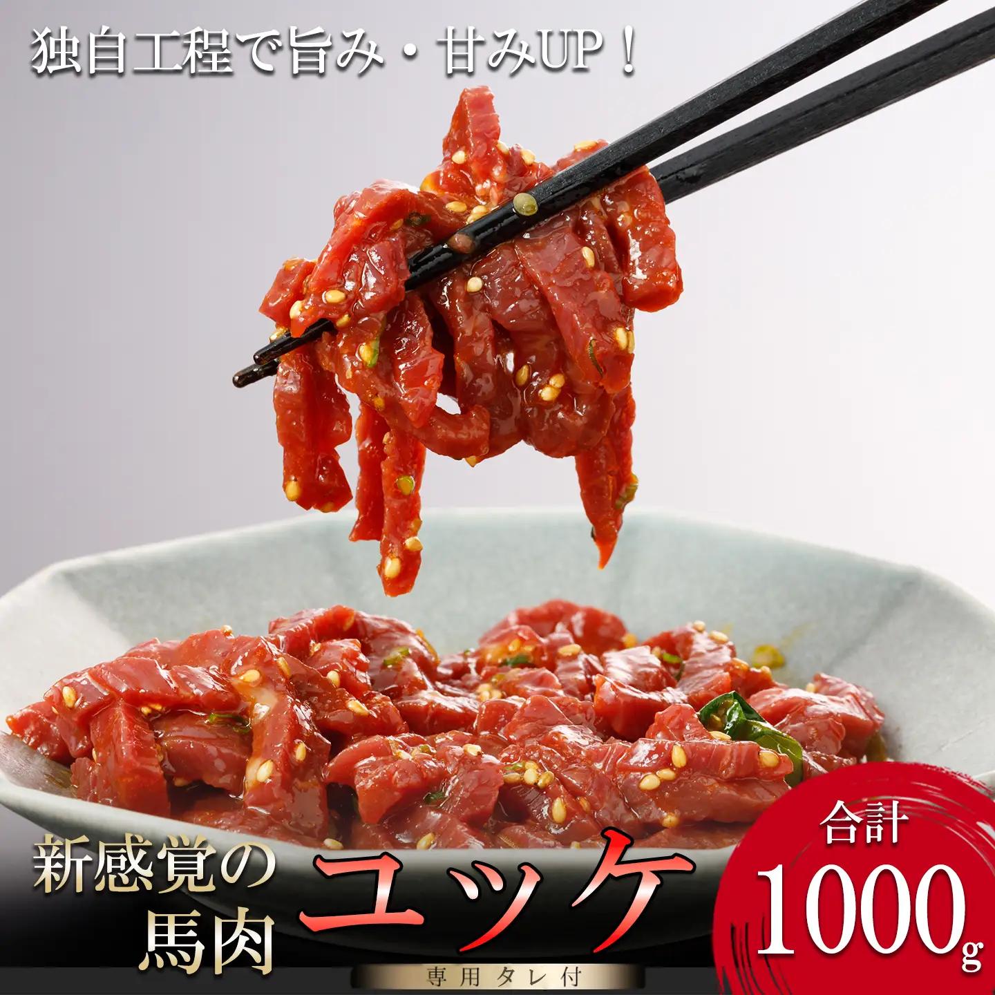【阿蘇牧場】馬肉 ユッケ 1000g 特許製法 熟成 新感覚 旨みたっぷり 細切り 小分け 食べきり 専用醤油 タレ付 真空パック 熊本 阿蘇 小国町 チルド 冷凍 最大3ヶ月以内出荷