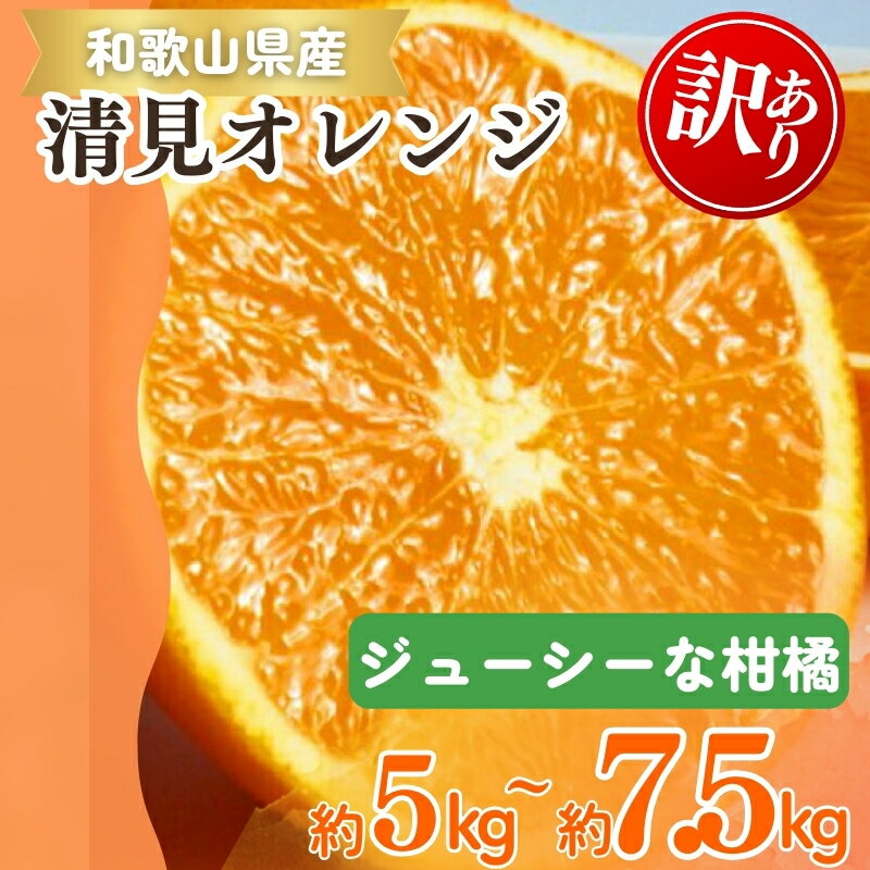 【ふるさと納税】 【ご家庭用訳アリ】紀州有田産清見オレンジ 約5kg 約7.5kg ※2026年3月下旬〜2026年4月中旬頃に順次発送予定(お届け日指定不可)