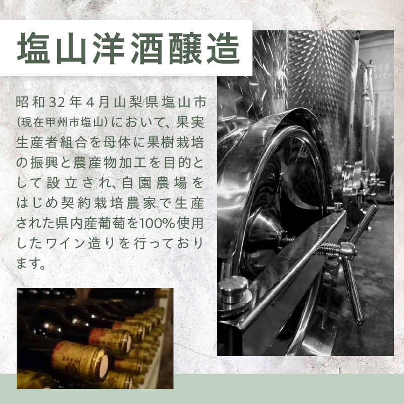 塩山洋酒醸造 SALZ BERG Koshu（RC）B-642