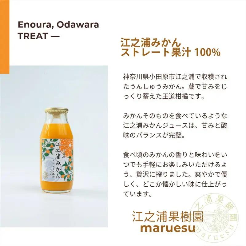 小田原産江之浦みかんジュース５種のみくらべ１０本セット うんしゅう・しらぬい・ゴールデン・なつみ・バレンシアオレンジ１００％ストレートジュース１８０ml各２本合計１０本【みかんジュース みかんジュース